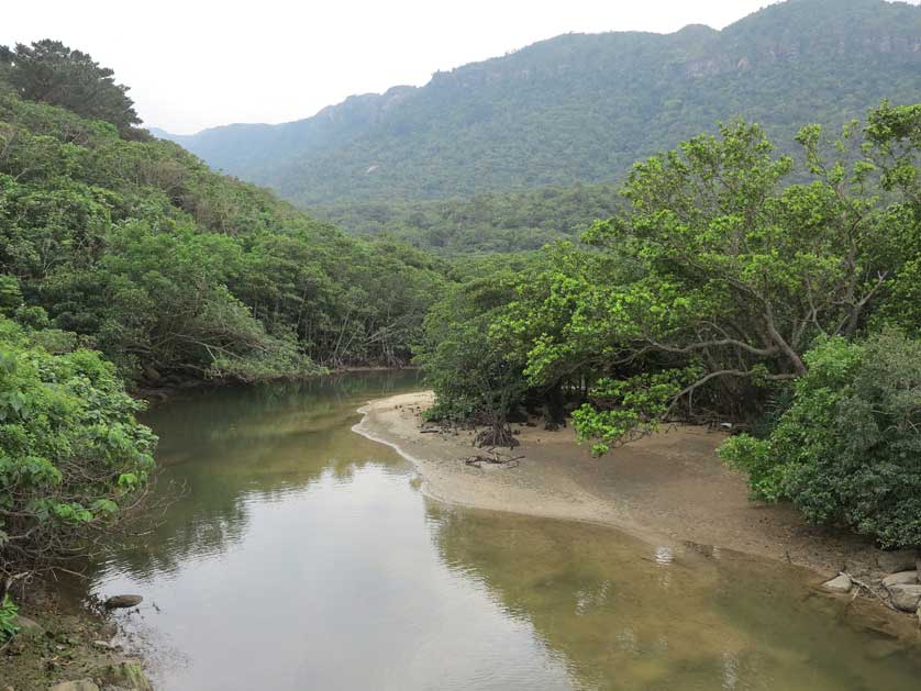 Iriomote Island, Yaeyama Islands, Okinawa.