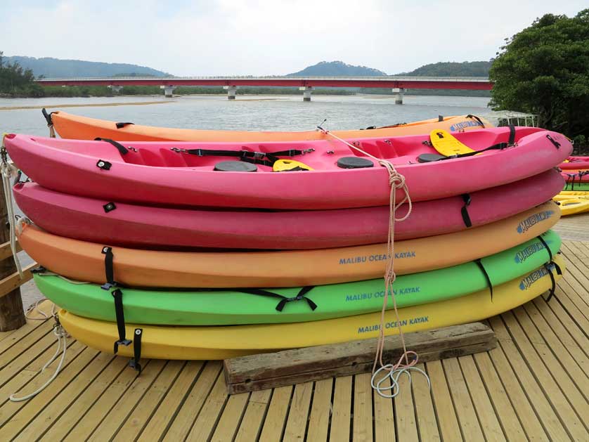 Iriomote Island, Yaeyama Islands, Okinawa.