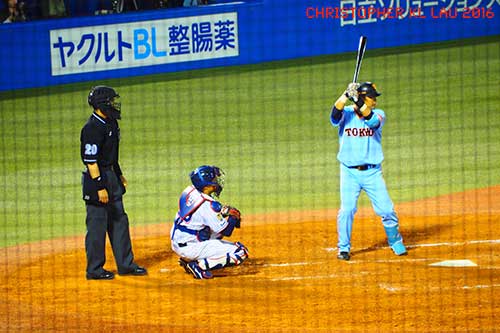 Tokyo Yakult Swallows.