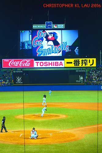 Tokyo Yakult Swallows.