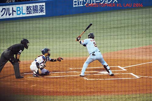 Tokyo Yakult Swallows.