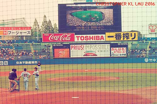 Tokyo Yakult Swallows.