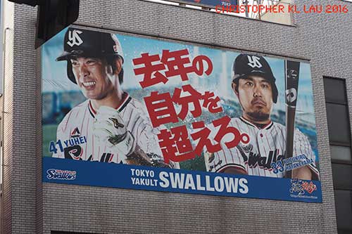 Tokyo Yakult Swallows.