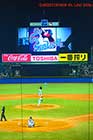 Yakult Swallows.