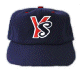 Yakult Swallows