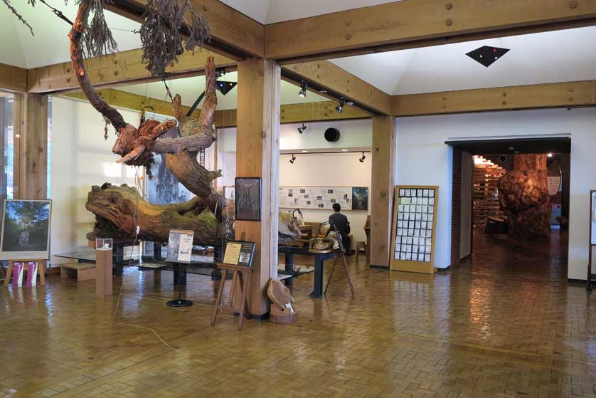 Yakusugi Museum, Anbo, Yakushima.