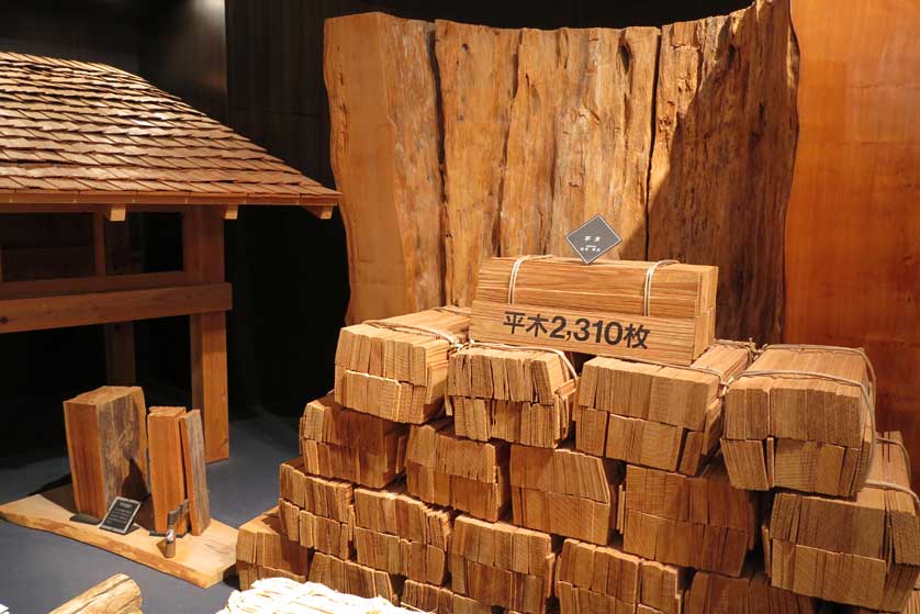 Yakusugi Museum, Anbo, Yakushima.
