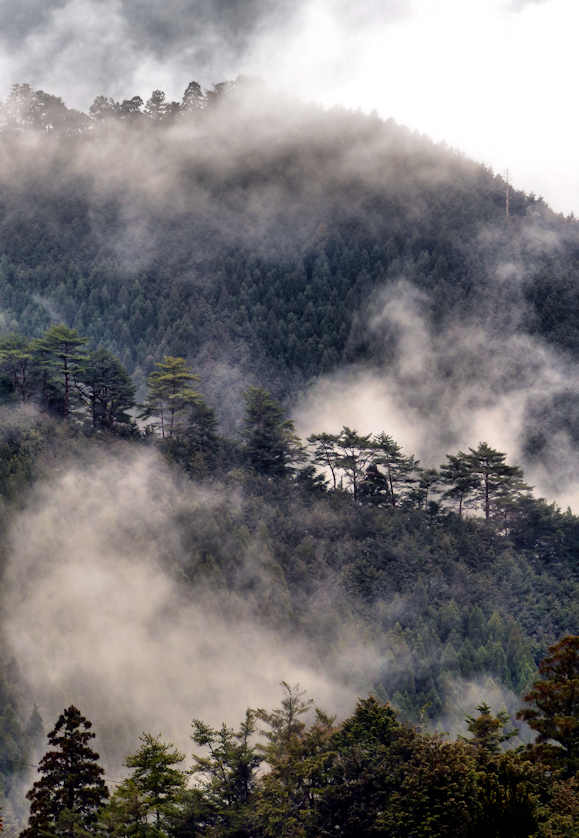 Steep, rugged, remote and foreboding, the mountain of the Kumano region of Wakayama were home to probably biggest concentration of Yamabushi in pre-modern Japan.