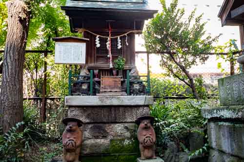 Fukuju Tanuki Shrine at Yanagimori Shrine