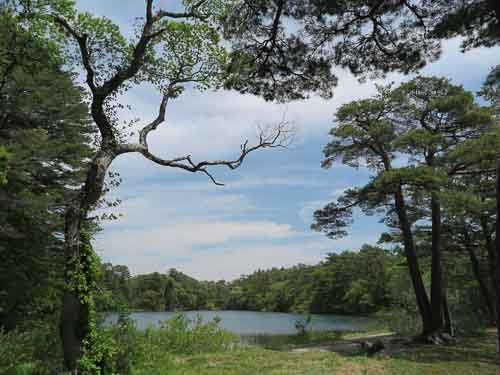 Yanaginuma Pond, Goshikinuma.