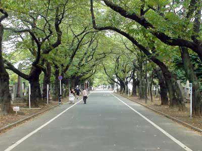 Tokyo Yanaka guide.