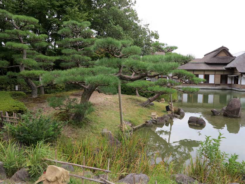 Statue of Matsudaira Yoshinaga, Fukui, Fukui Prefecture.