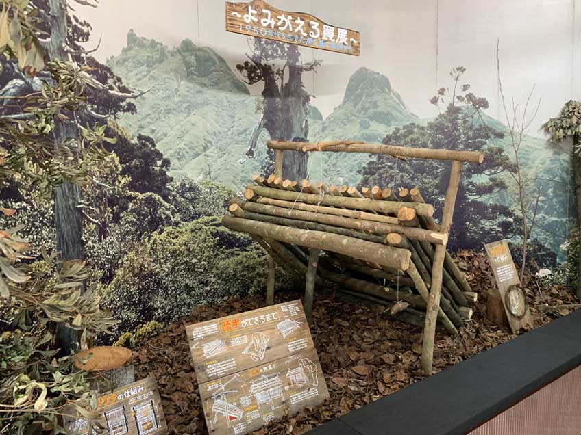 Yakushima Town History and Folk Museum.