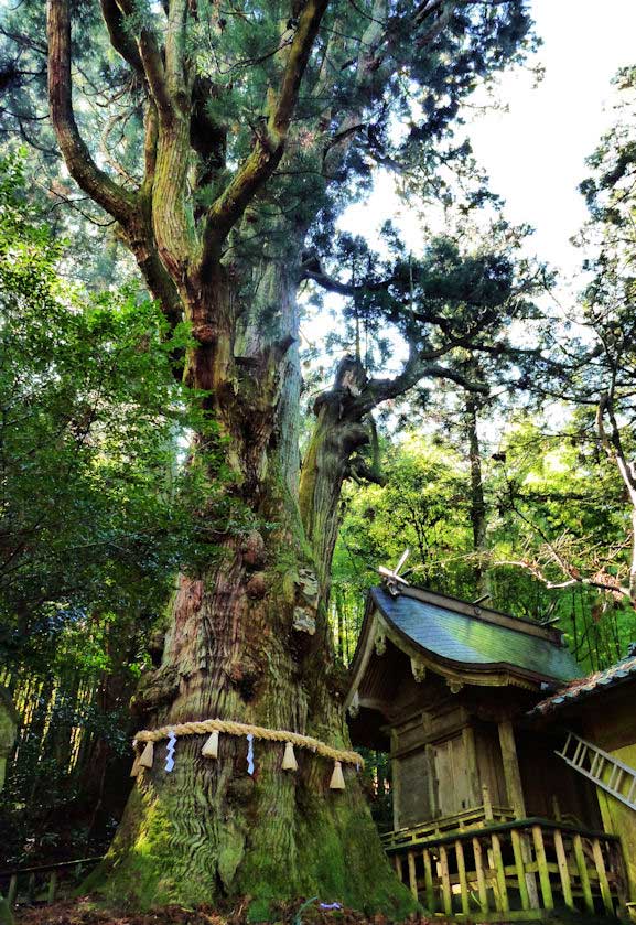 Ogosha Shrine, Yufuin, Oita Prefecture.