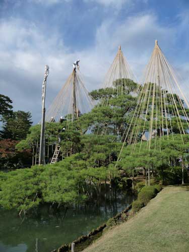 Yuki-tsuri in Kenroku-en Garden, Kanazawa.