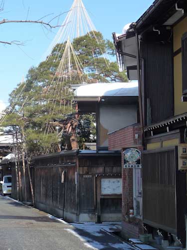 Yuki-tsuri in Kenroku-en Garden, Kanazawa.