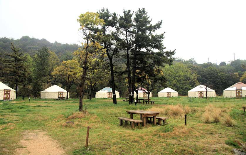 Yurts in Naoshima, Japan.