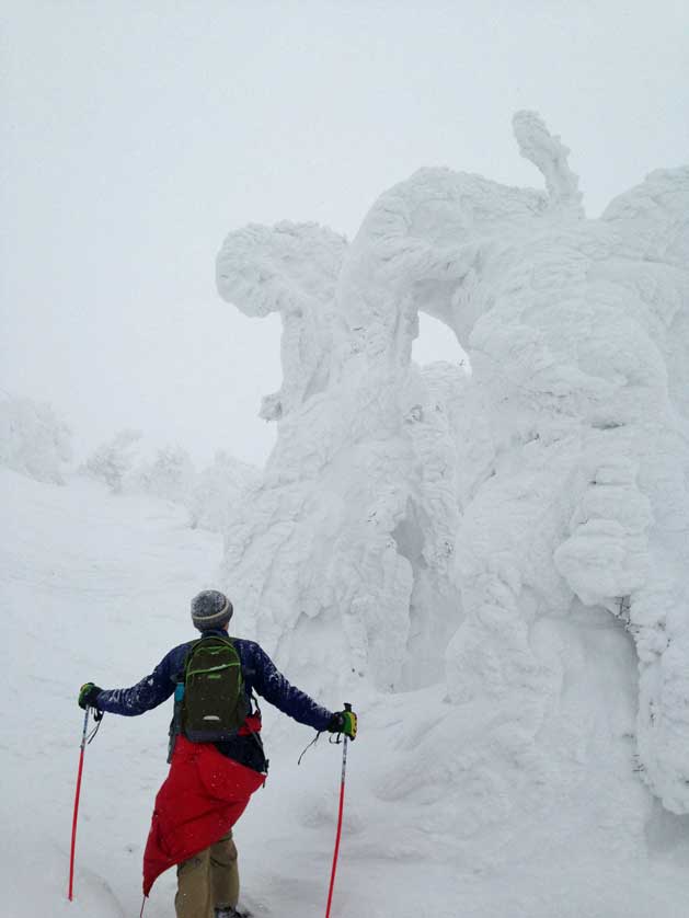 Snow monsters in Zao Onsen, Yamagata Prefecture