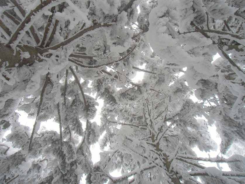 Zao Onsen, Yamagata Prefecture