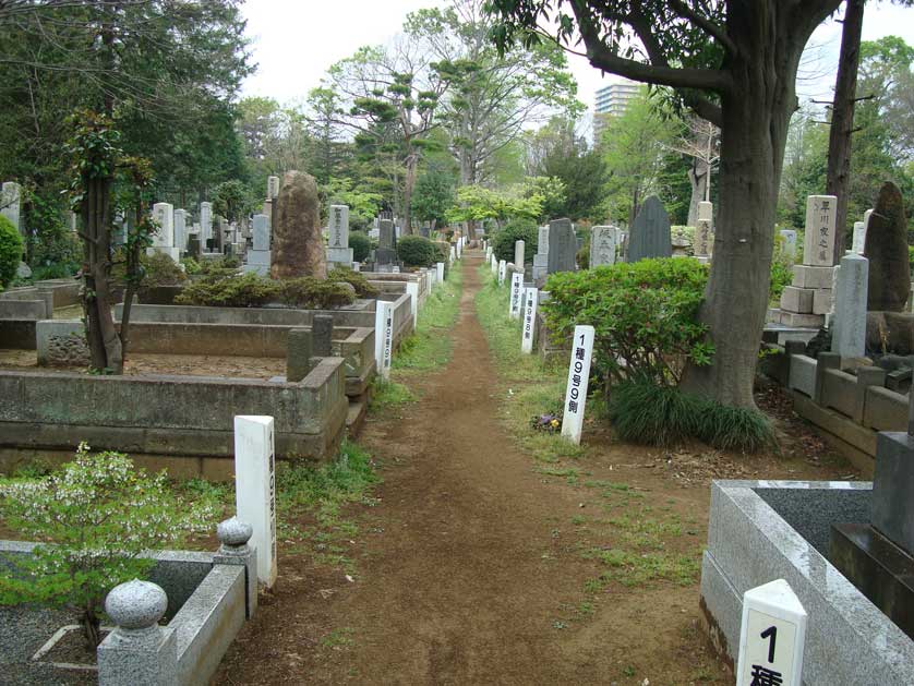 Zoshigaya Cemetery, Tokyo.
