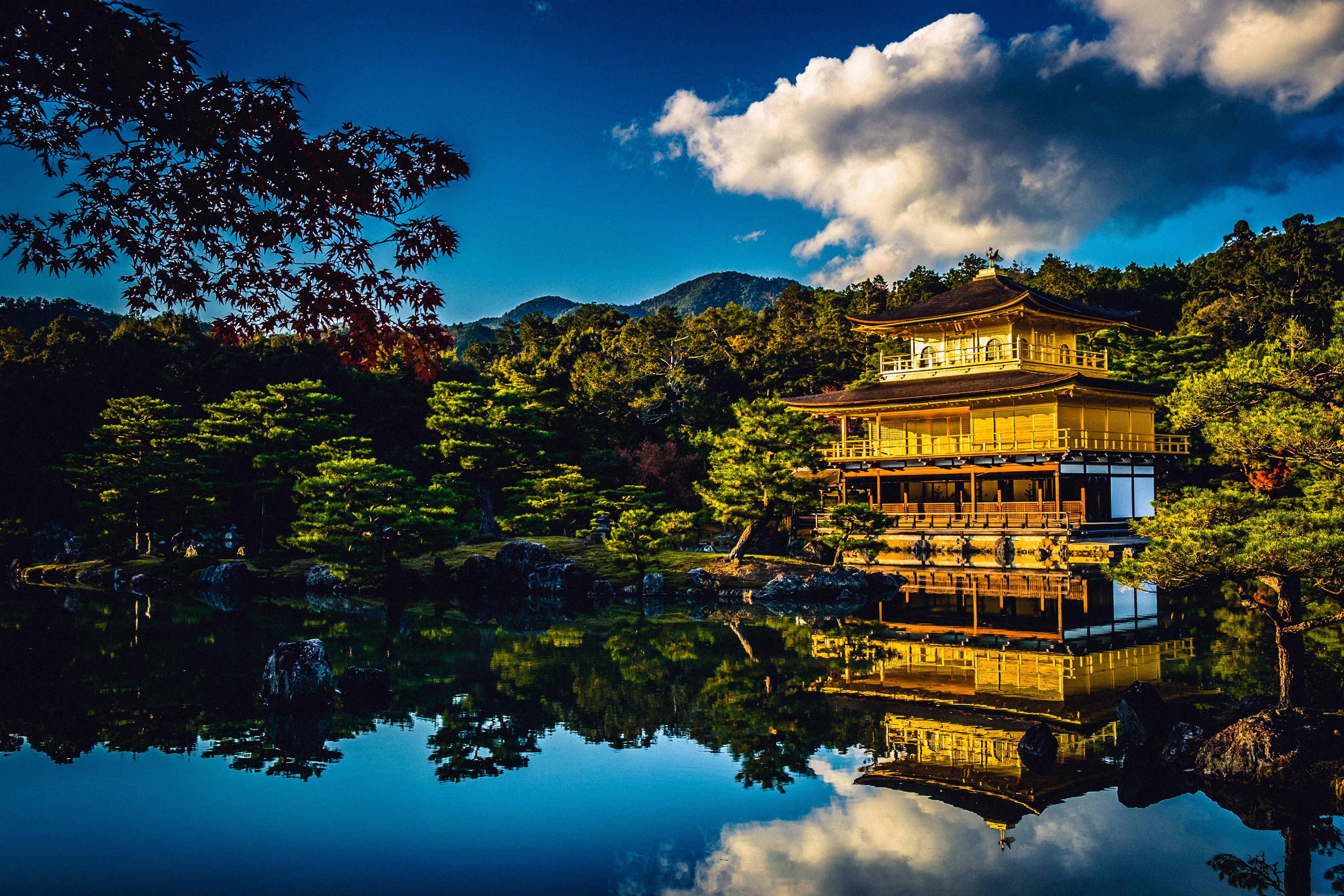 tour companies specializing in japan