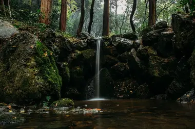 A stream with a small waterfall