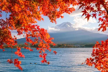 Le Mont Fuji en automne avec des feuilles d'érable rouge