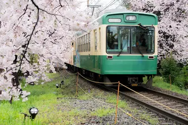  ... oder viele andere Züge und Busse in ganz Japan!