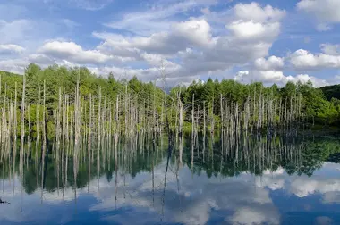 El Estanque Azul Takemigi, Biei