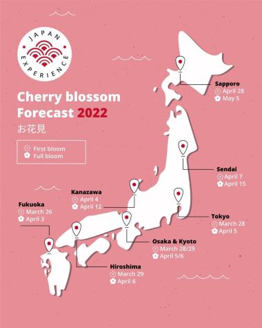 pink map of Japan presenting the blooming forecast of cherry blossoms 2022