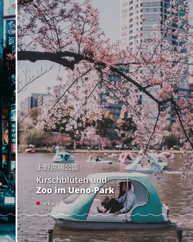 Kirschblüten im Ueno-Park, Tokio