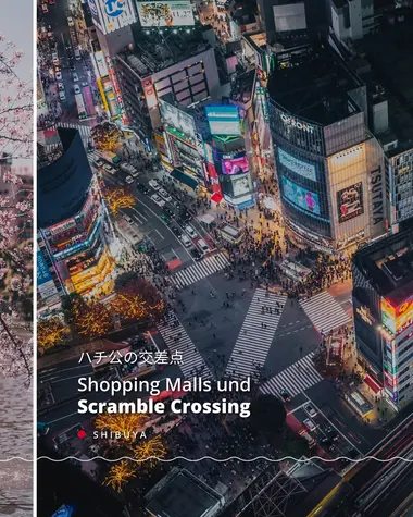 Shibuya Scramble Crossing, Tokio