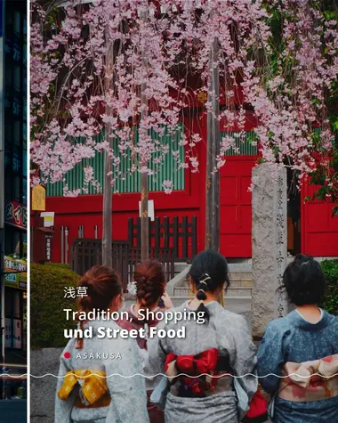 Kirschblüten und Kimono in Asakusa, Tokio