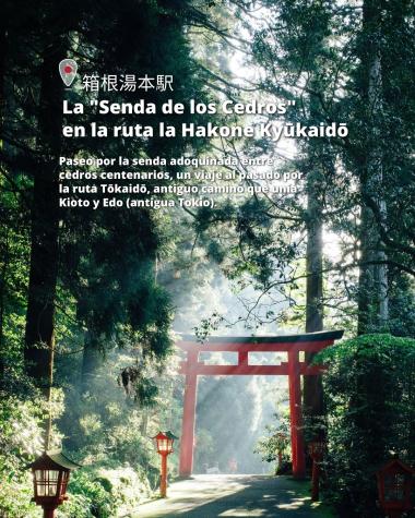 Rutas de senderismo en Hakone