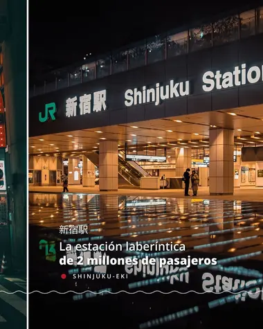 Guía Shinjuku
