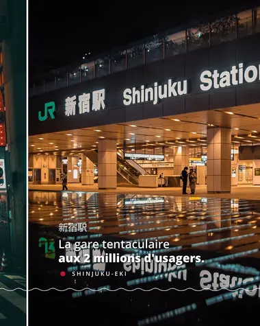 Guide Shinjuku