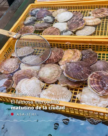 El famoso mercadillo matutino de la ciudad