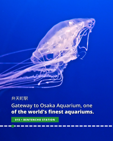 Osaka Aquarium, the world's largest public aquarium