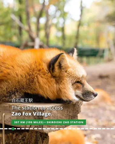 Access Zao Fox Village from Shiroishi Zao Station