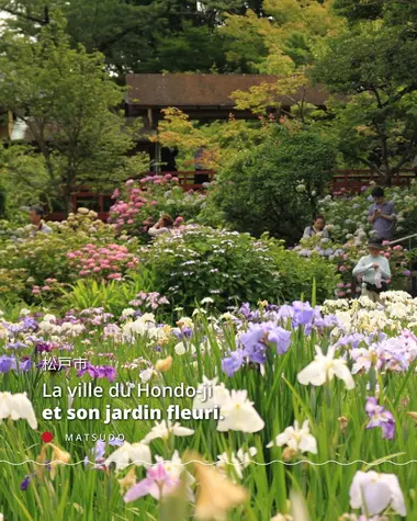 La ville du Hondo-i et son jardin fleuri