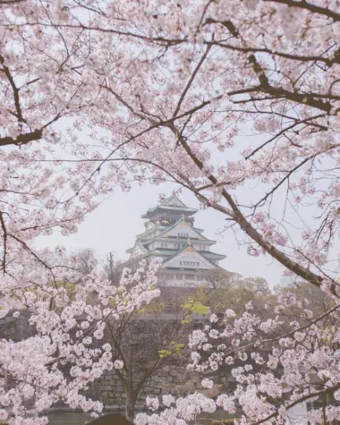 Hirosaki Castle