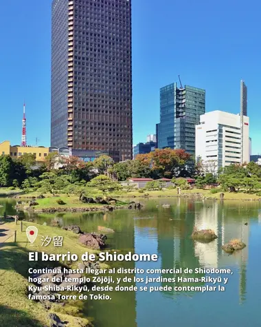 El barrio de Shiodome