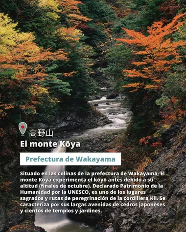 El monte Koya