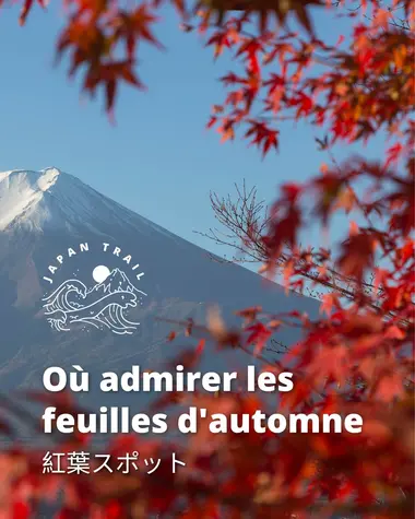 Où admirer les feuilles d'automne 