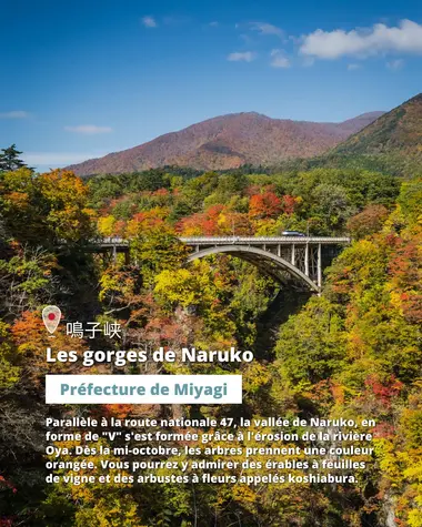 Les gorges de Naruko