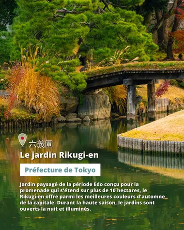 Le jardin Rikugi-en