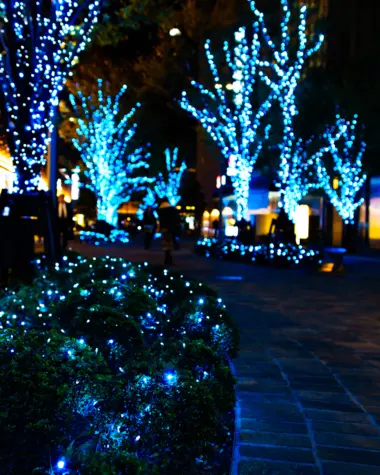 Illuminations de Noël à Hibiya 