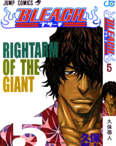 Bleach manga