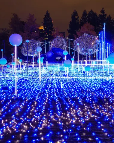 Illuminations de Noël au Tokyo Midtown 