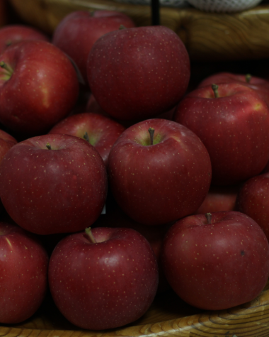 Aomori Ringo (Aomori's apples) 